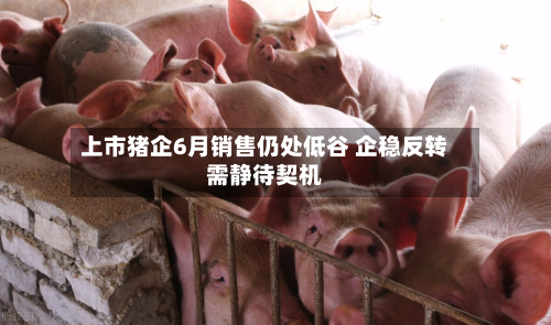 上市猪企6月销售仍处低谷 企稳反转需静待契机-第1张图片