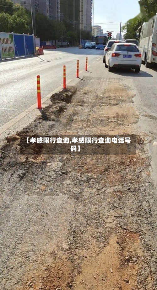 【孝感限行查询,孝感限行查询电话号码】-第3张图片