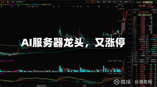 AI服务器龙头，又涨停-第3张图片