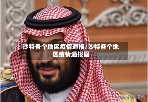 沙特各个地区疫情通报/沙特各个地区疫情通报图