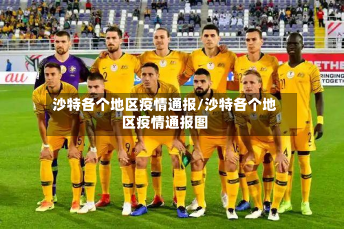 沙特各个地区疫情通报/沙特各个地区疫情通报图-第2张图片