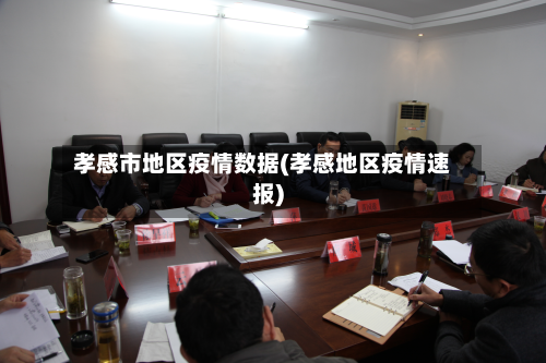 孝感市地区疫情数据(孝感地区疫情速报)