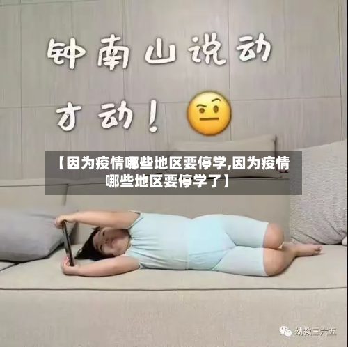 【因为疫情哪些地区要停学,因为疫情哪些地区要停学了】