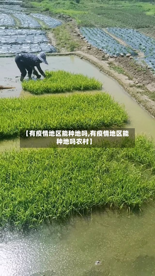 【有疫情地区能种地吗,有疫情地区能种地吗农村】