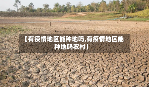 【有疫情地区能种地吗,有疫情地区能种地吗农村】-第2张图片