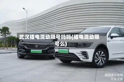武汉插电混动限号吗吗(插电混动限号么)-第2张图片