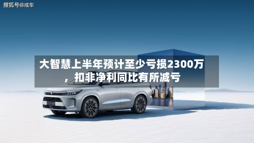 大智慧上半年预计至少亏损2300万，扣非净利同比有所减亏