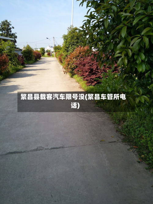 繁昌县载客汽车限号没(繁昌车管所电话)