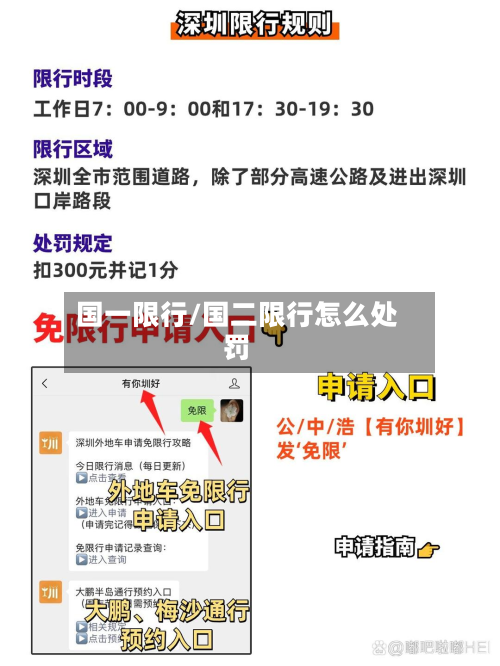 国一限行/国二限行怎么处罚