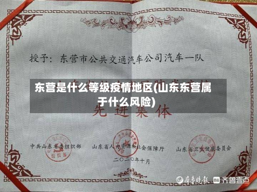 东营是什么等级疫情地区(山东东营属于什么风险)
