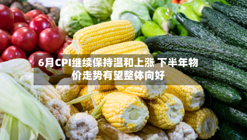 6月CPI继续保持温和上涨 下半年物价走势有望整体向好-第1张图片