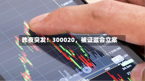 昨夜突发!300020,被证监会立案