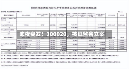 昨夜突发！300020	，被证监会立案-第3张图片