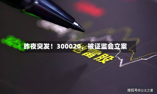 昨夜突发！300020，被证监会立案-第2张图片