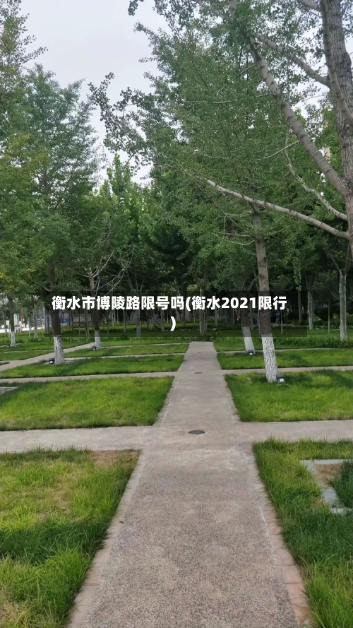 衡水市博陵路限号吗(衡水2021限行)