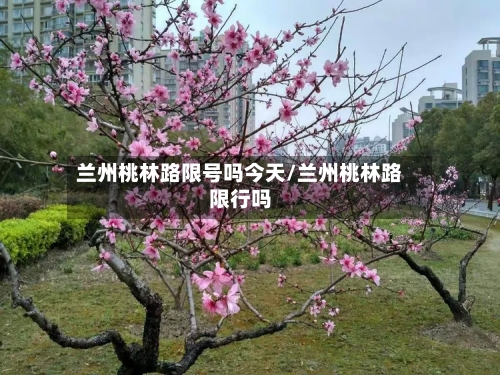 兰州桃林路限号吗今天/兰州桃林路限行吗-第2张图片