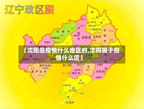 【沈阳是疫情什么地区的,沈阳属于疫情什么区】-第3张图片