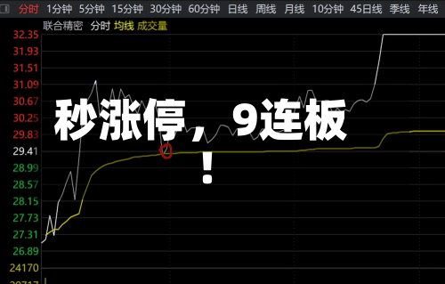 秒涨停，9连板！-第2张图片