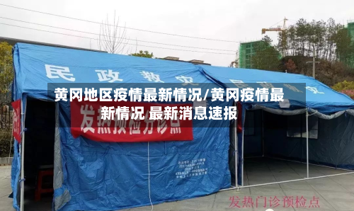 黄冈地区疫情最新情况/黄冈疫情最新情况 最新消息速报-第3张图片