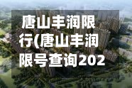 唐山丰润限行(唐山丰润限号查询2020)-第2张图片