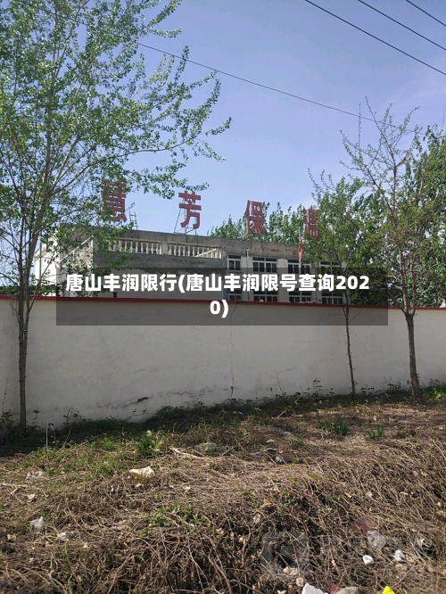 唐山丰润限行(唐山丰润限号查询2020)-第3张图片