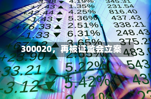 300020，再被证监会立案-第2张图片