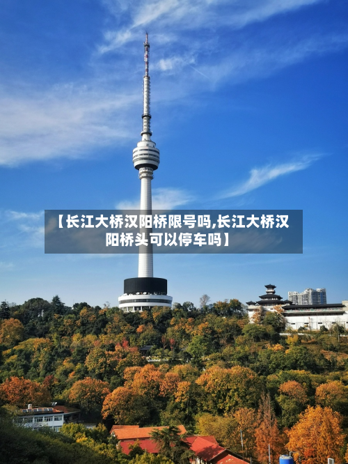 【长江大桥汉阳桥限号吗,长江大桥汉阳桥头可以停车吗】-第3张图片