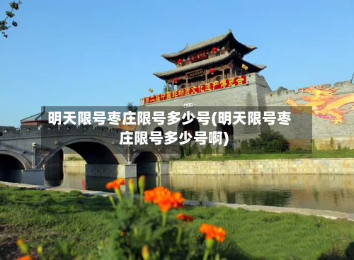 明天限号枣庄限号多少号(明天限号枣庄限号多少号啊)