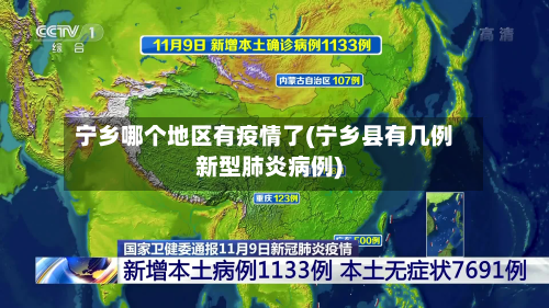 宁乡哪个地区有疫情了(宁乡县有几例新型肺炎病例)