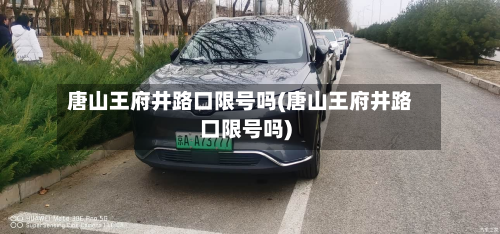 唐山王府井路口限号吗(唐山王府井路口限号吗)