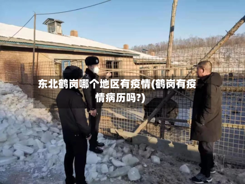 东北鹤岗哪个地区有疫情(鹤岗有疫情病历吗?)-第3张图片