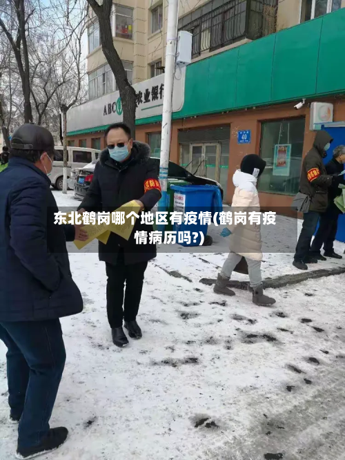 东北鹤岗哪个地区有疫情(鹤岗有疫情病历吗?)-第2张图片