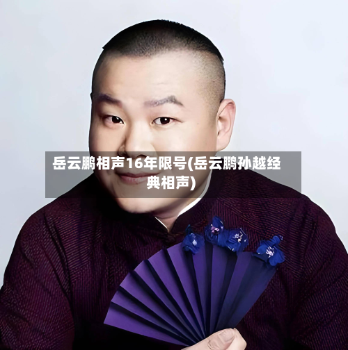 岳云鹏相声16年限号(岳云鹏孙越经典相声)-第3张图片