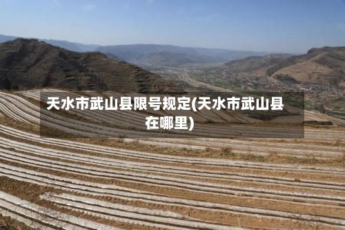 天水市武山县限号规定(天水市武山县在哪里)-第2张图片