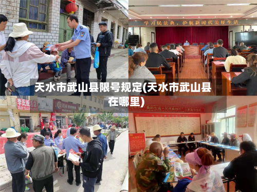 天水市武山县限号规定(天水市武山县在哪里)-第3张图片