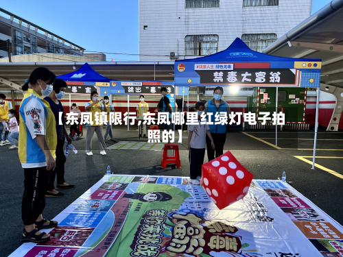 【东凤镇限行,东凤哪里红绿灯电子拍照的】