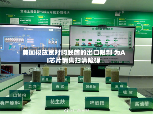 美国拟放宽对阿联酋的出口限制 为AI芯片销售扫清障碍