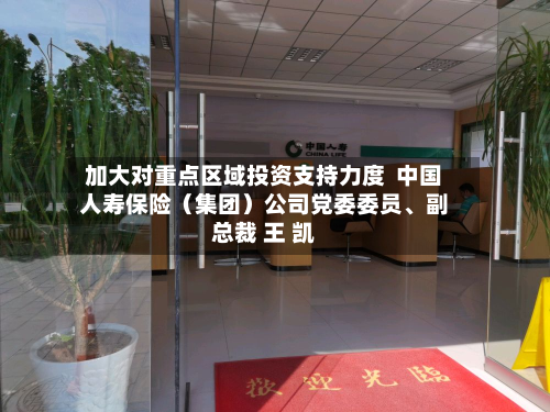 加大对重点区域投资支持力度  中国人寿保险（集团）公司党委委员、副总裁 王 凯