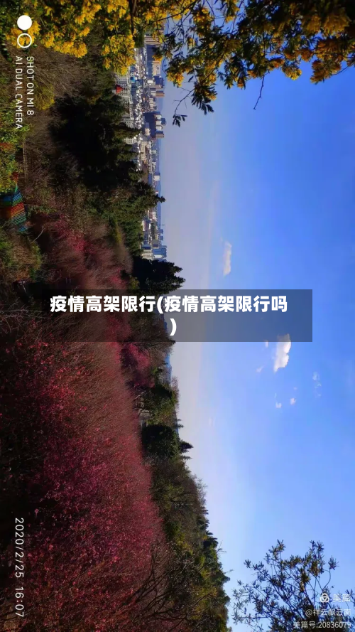 疫情高架限行(疫情高架限行吗)-第3张图片