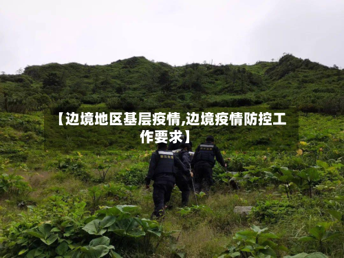 【边境地区基层疫情,边境疫情防控工作要求】-第3张图片