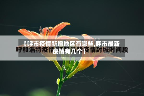 【呼市疫情新增地区有哪些,呼市最新疫情有几个】