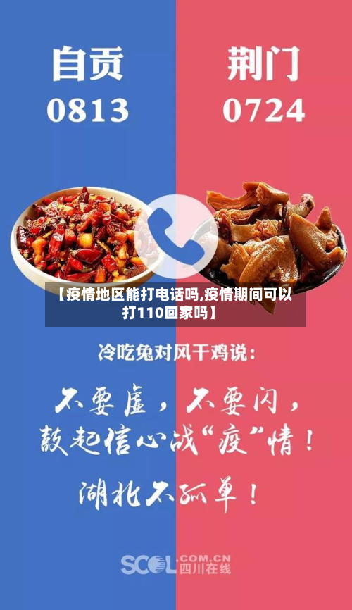 【疫情地区能打电话吗,疫情期间可以打110回家吗】-第2张图片