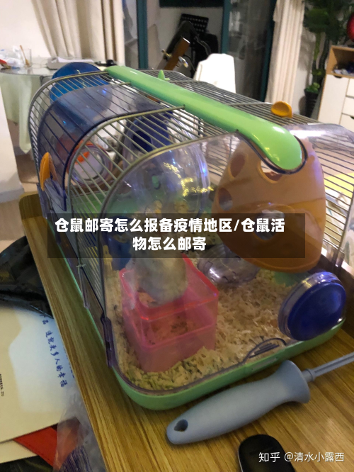 仓鼠邮寄怎么报备疫情地区/仓鼠活物怎么邮寄