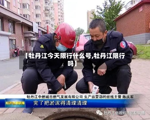 【牡丹江今天限行什么号,牡丹江限行吗】-第2张图片