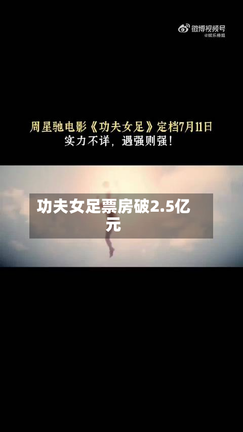 功夫女足票房破2.5亿元