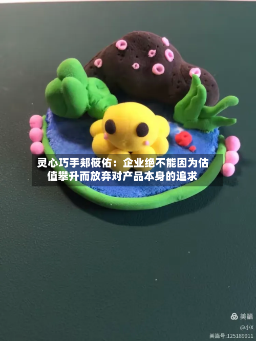 灵心巧手郏筱佑：企业绝不能因为估值攀升而放弃对产品本身的追求-第3张图片