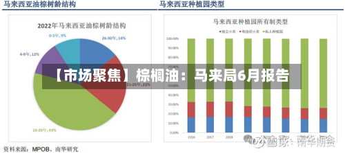 【市场聚焦】棕榈油:马来局6月报告-第3张图片