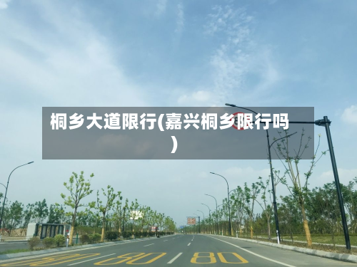 桐乡大道限行(嘉兴桐乡限行吗)-第2张图片