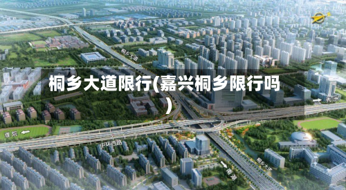 桐乡大道限行(嘉兴桐乡限行吗)-第3张图片