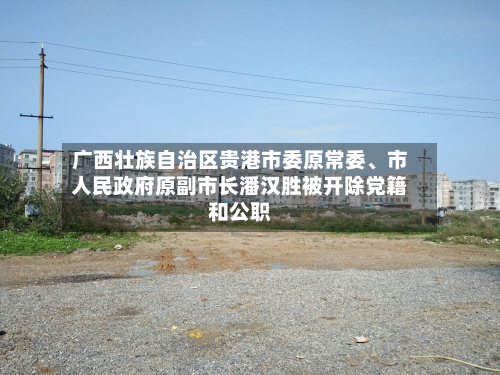 广西壮族自治区贵港市委原常委	、市人民政府原副市长潘汉胜被开除党籍和公职-第3张图片
